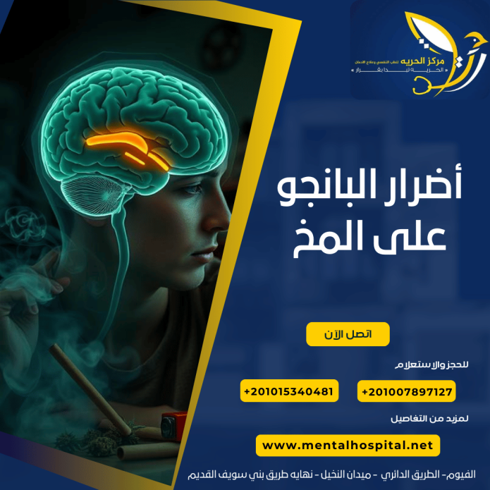أضرار البانجو على المخ